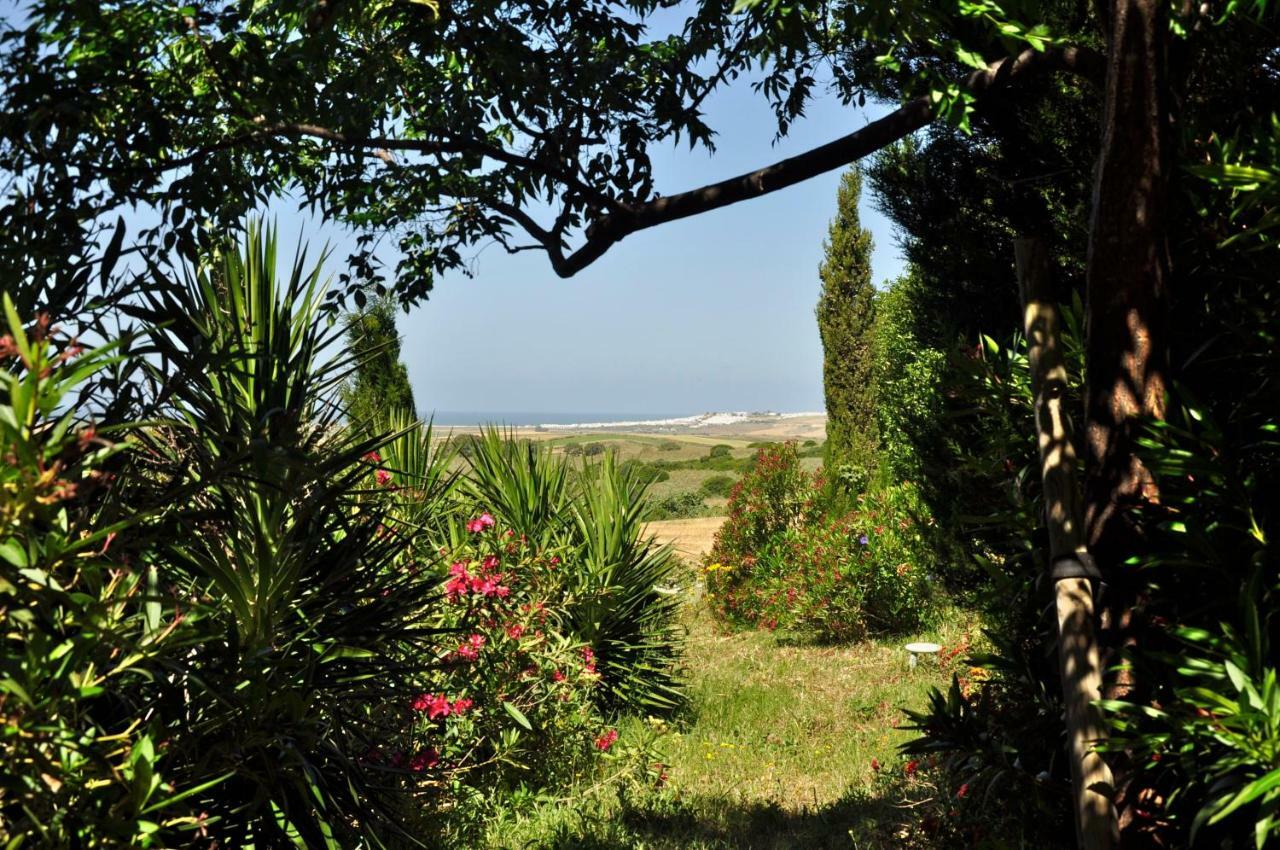 Appartement Finca Solivent Ocean View